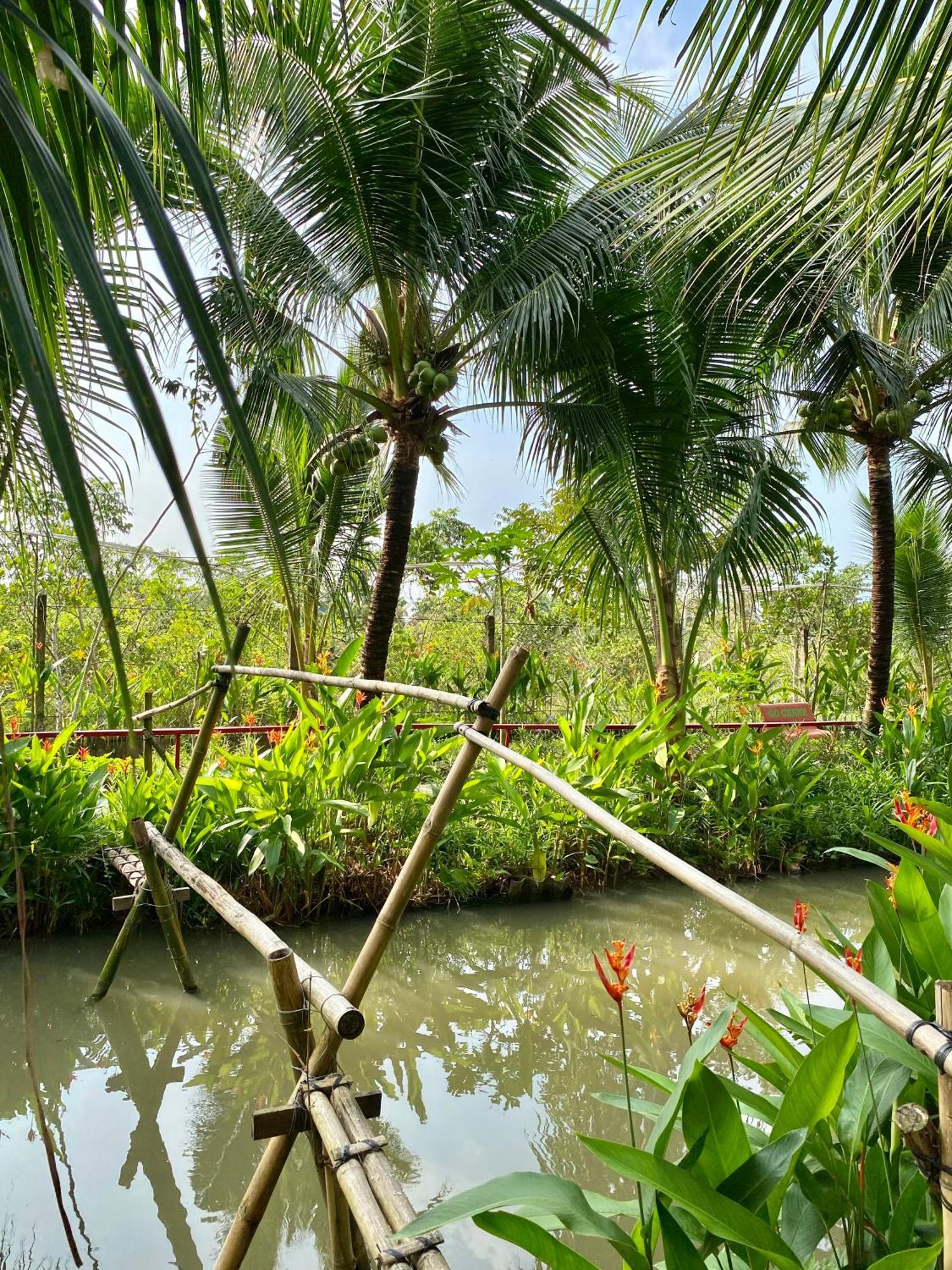 Go Chanh Homestay Cai Rang Exterior foto